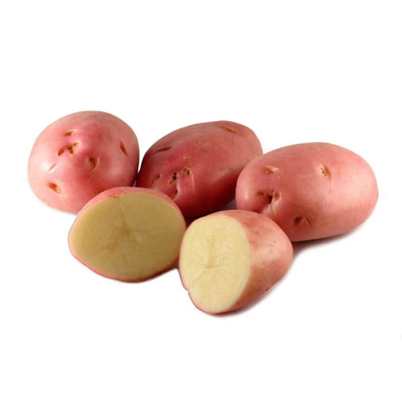 Balatoni rózsa burgonya